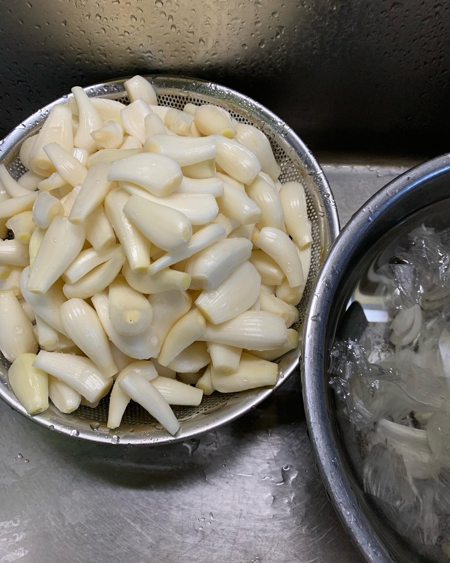 らっきょの皮むき ２ｋｇ茎とひげ根を切る 目がしみる 水洗いの後薄皮をむく 手間ひまかけて美味しい酢らっきょになーれ重量の4 の塩漬け塩らっきょも美味しい