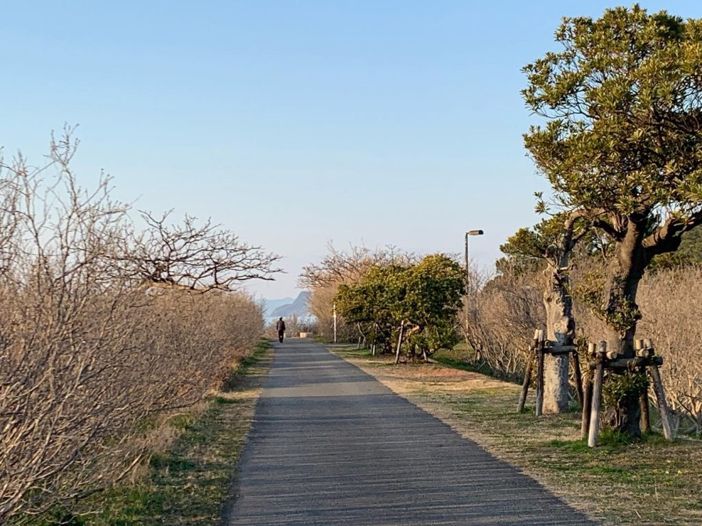 古賀の海散歩道