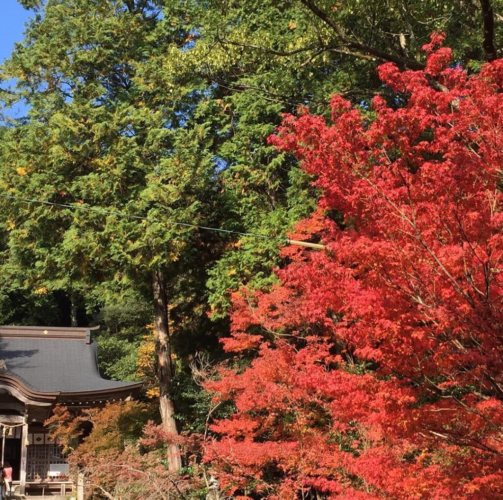 念願の九年庵へ〜♪(╹◡╹)♡