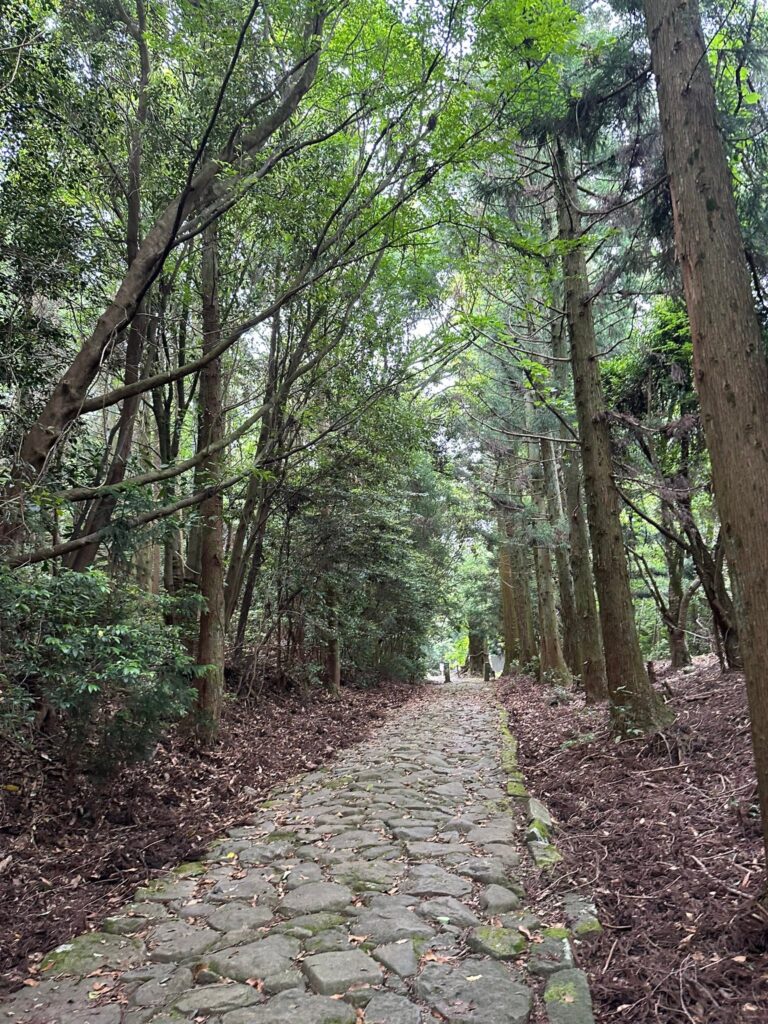 大分県宇佐 御許山へ