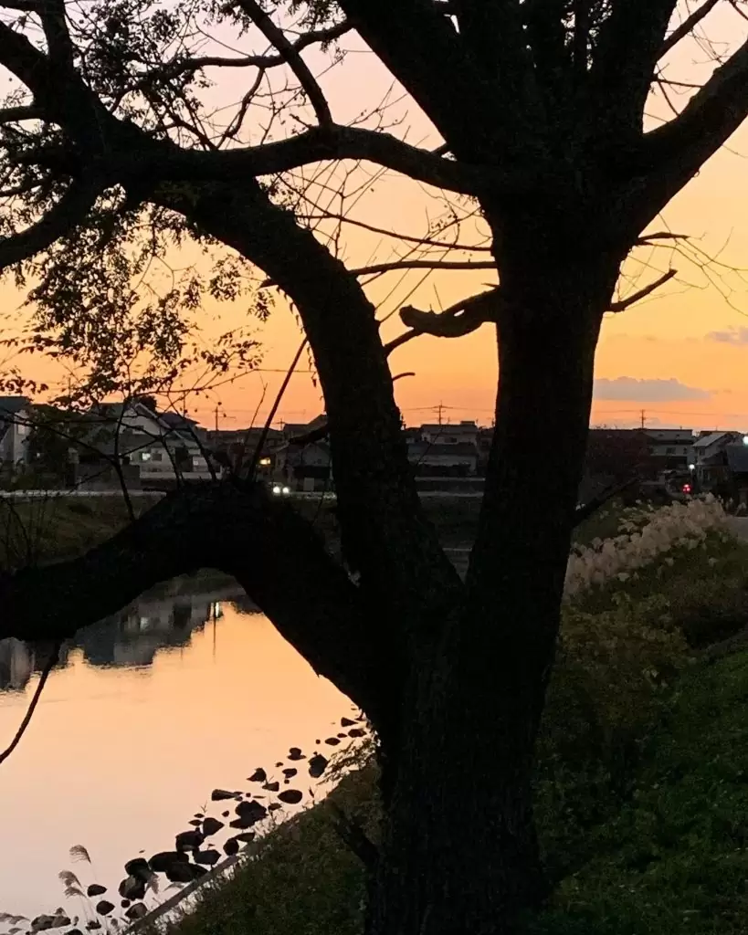 散歩　大根川の夕暮れ