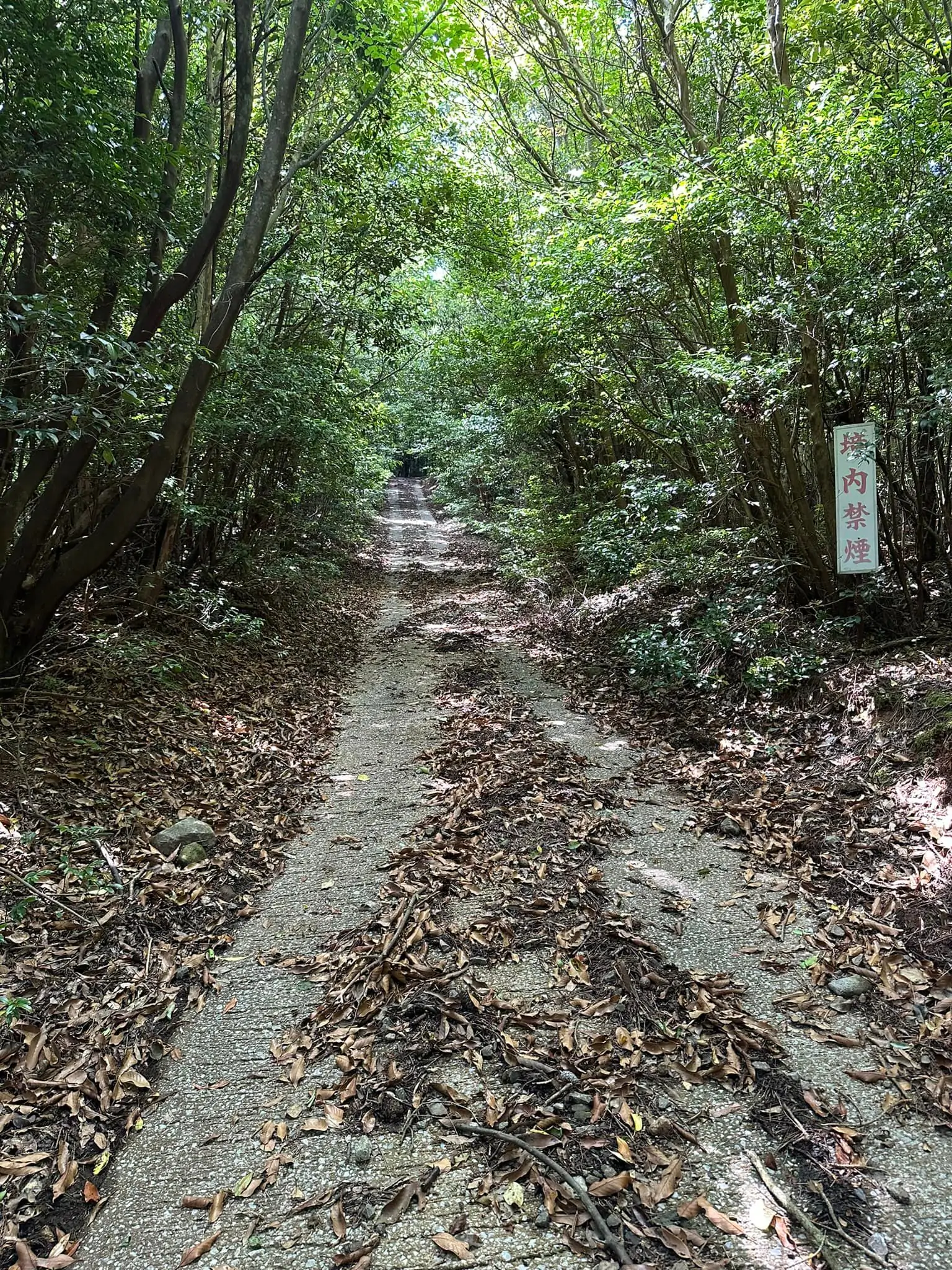 25年前 ここから始まった…#宇佐八幡奥宮　#八坂神社　#宇佐市 #御許山25年間　毎月通って来たこの場所　#心霊スポット#前世鑑定の吉田翠香　#前世　#スピリチュアル#見えない世界　#秘法　#お神籤　#大元神社